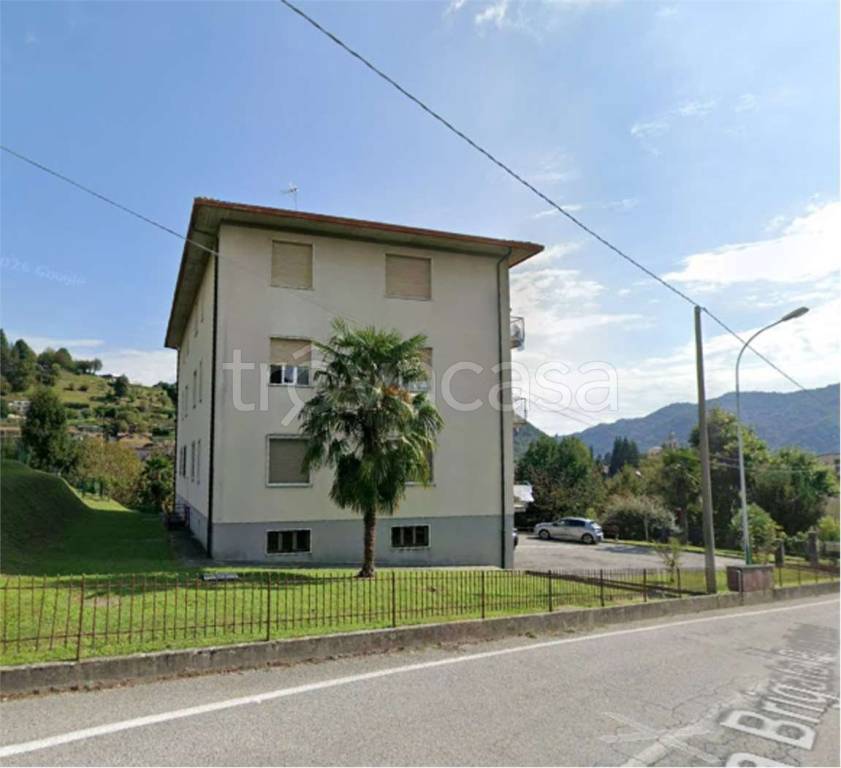 immagine annuncio 12 di 14