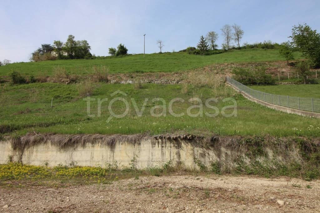 immagine annuncio 5 di 7