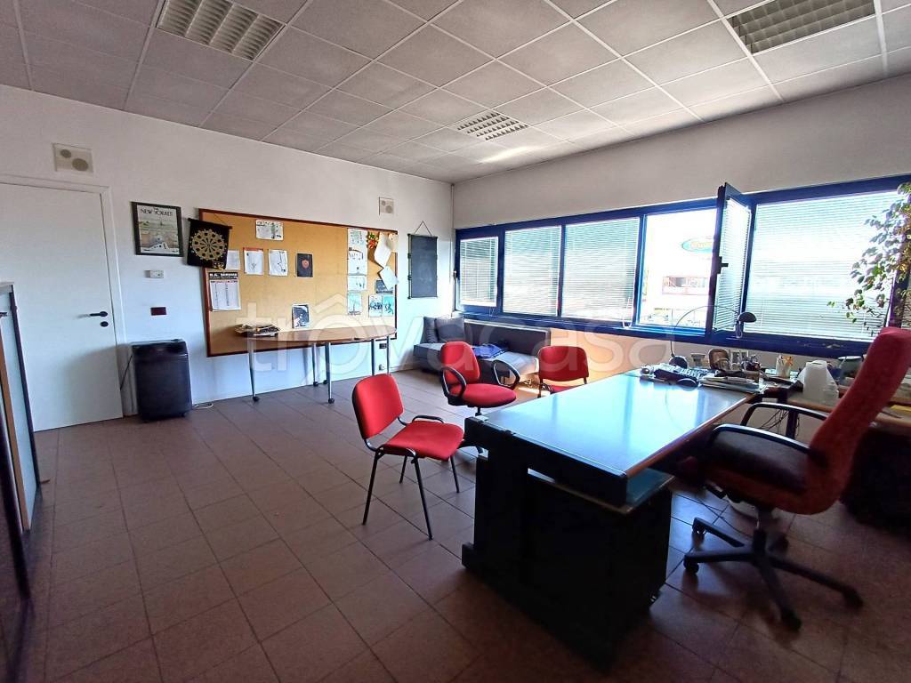 immagine annuncio 9 di 11