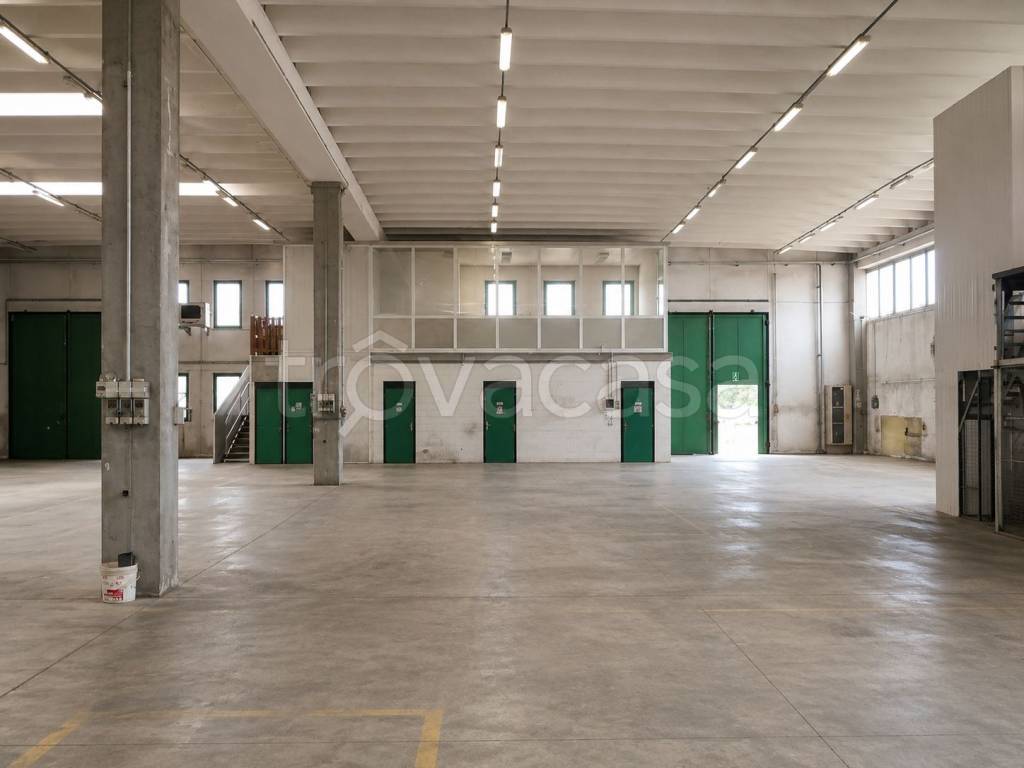 immagine annuncio 9 di 14
