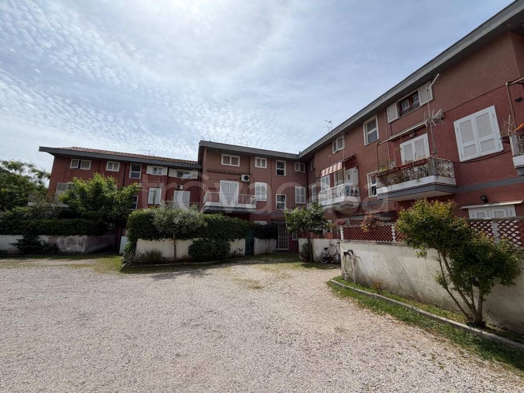 immagine annuncio 9 di 13