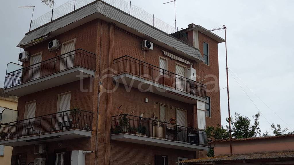 immagine annuncio 10 di 12