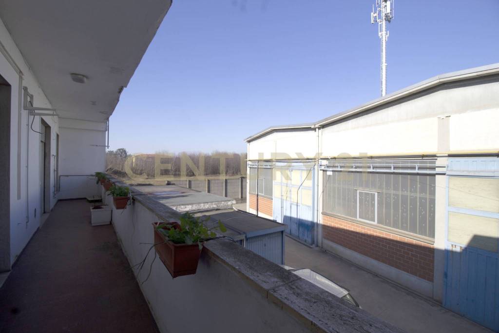 immagine annuncio 11 di 12