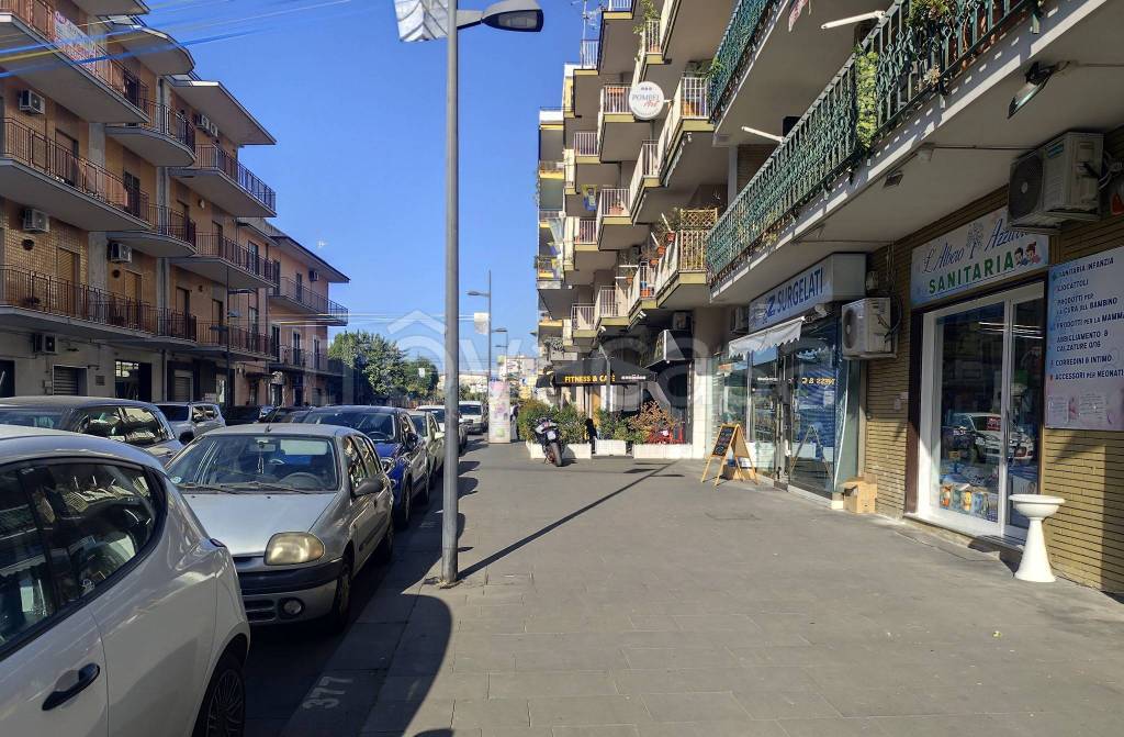 immagine annuncio 2 di 4