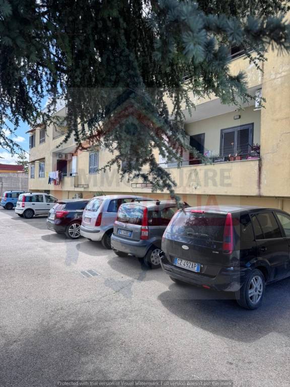 immagine annuncio 4 di 13