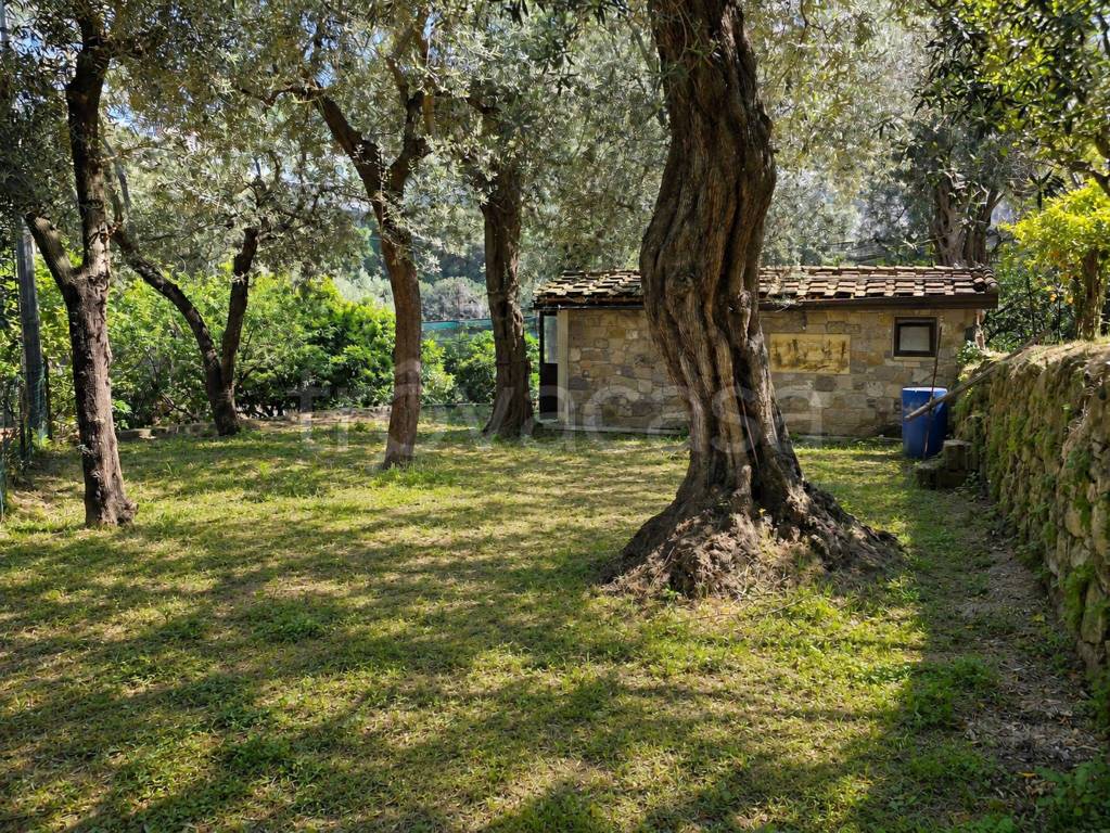 immagine annuncio 7 di 9