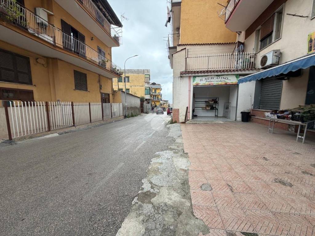 immagine annuncio 3 di 14