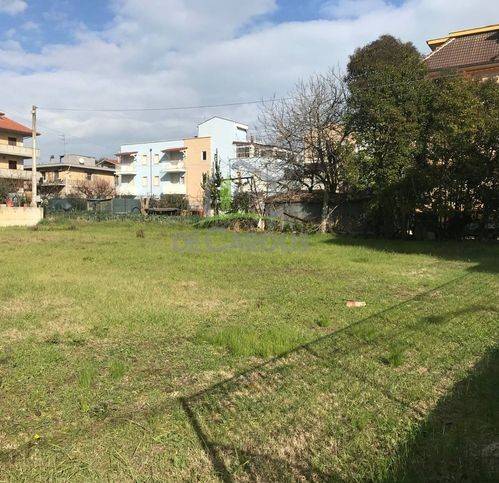immagine annuncio 1 di 7
