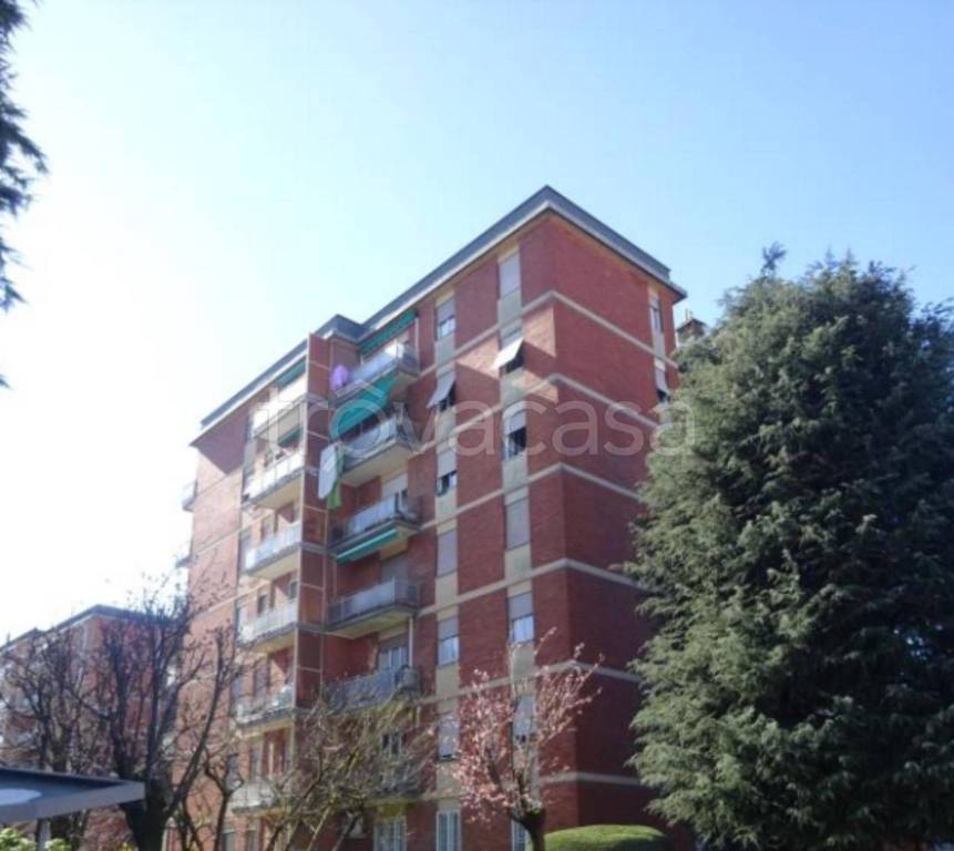immagine annuncio 9 di 10