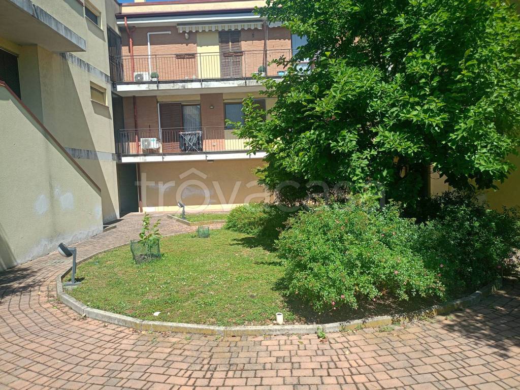 immagine annuncio 5 di 12