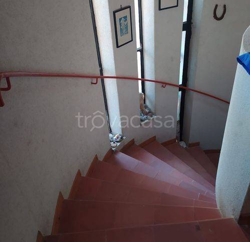 immagine annuncio 12 di 14