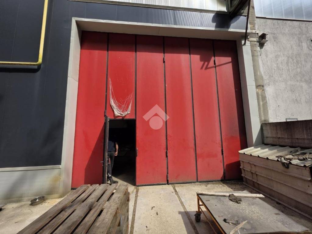 immagine annuncio 11 di 15