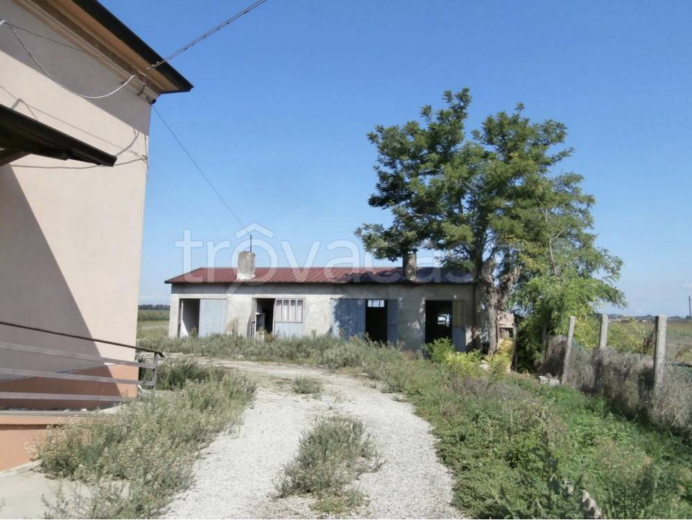 immagine annuncio 7 di 11