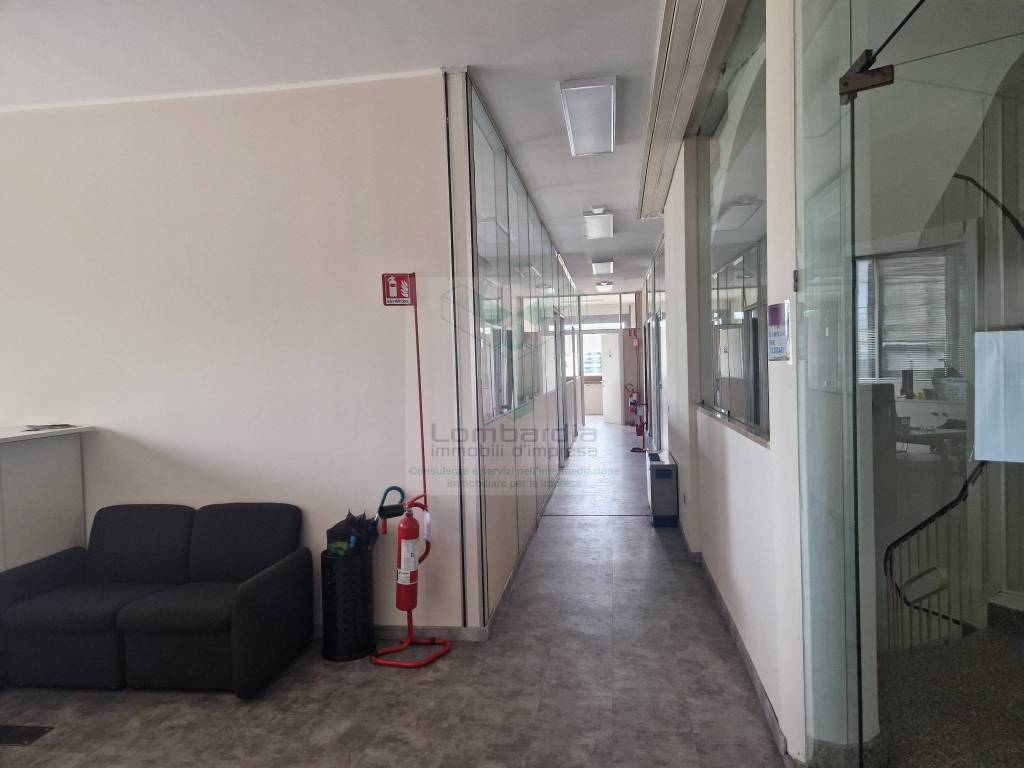 immagine annuncio 6 di 9