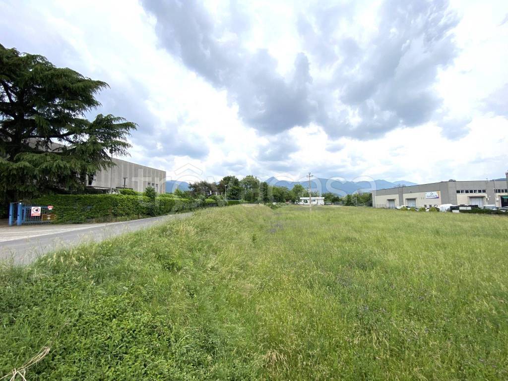 immagine annuncio 4 di 11