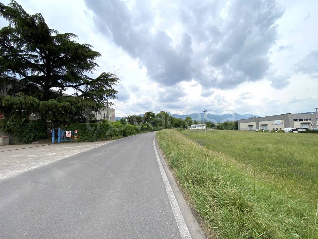 immagine annuncio 6 di 11