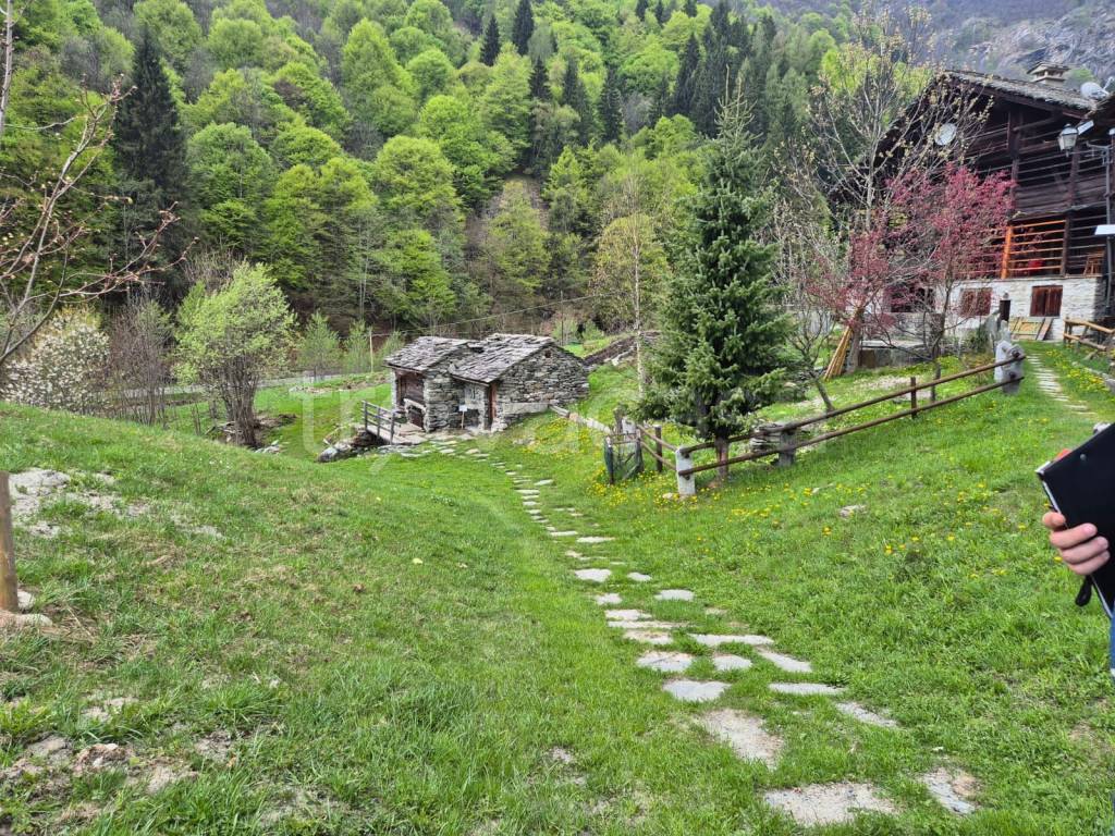 immagine annuncio 5 di 15