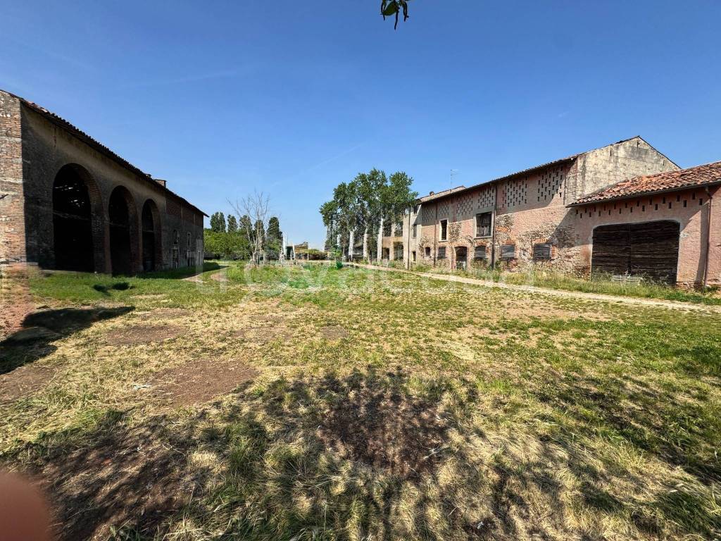 immagine annuncio 4 di 8