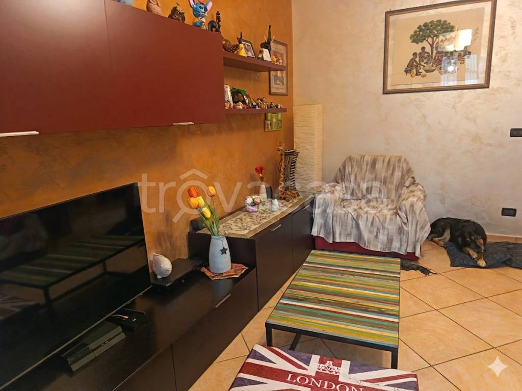 immagine annuncio 9 di 15