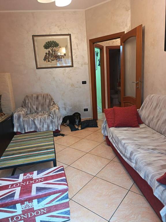 immagine annuncio 10 di 15