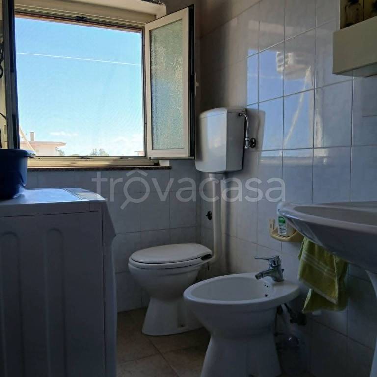 immagine annuncio 10 di 14