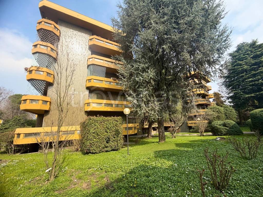 immagine annuncio 12 di 13