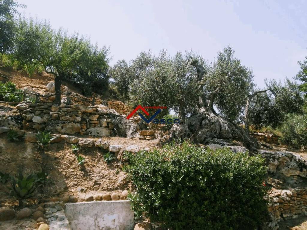 immagine annuncio 4 di 6