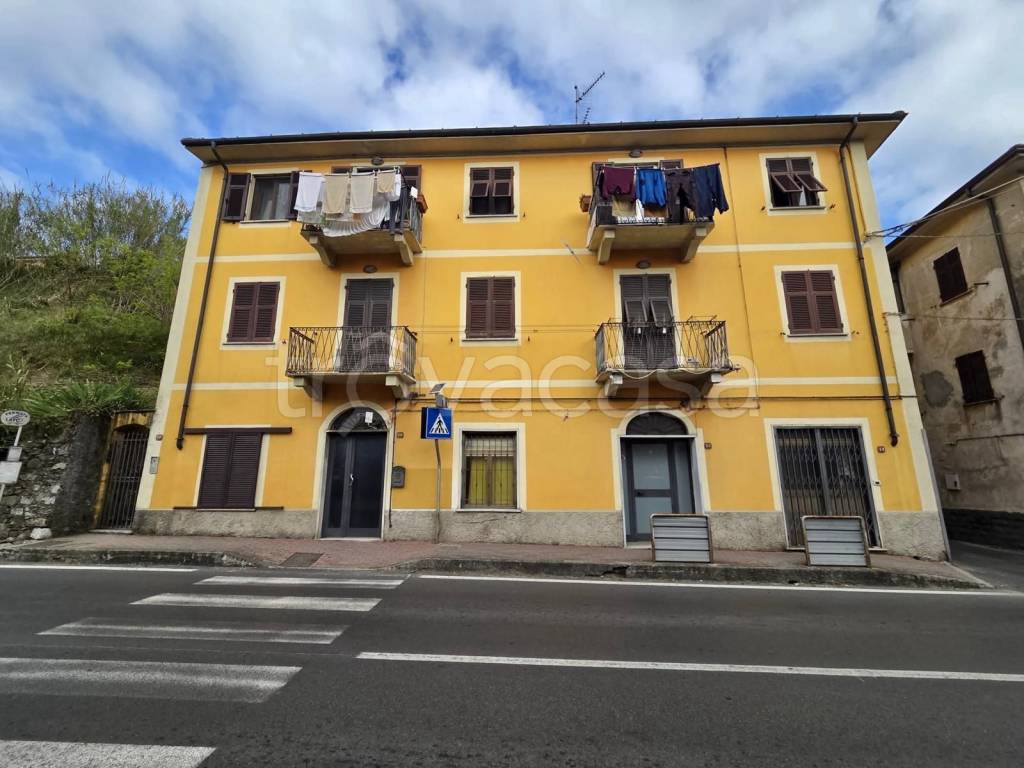 immagine annuncio 12 di 14