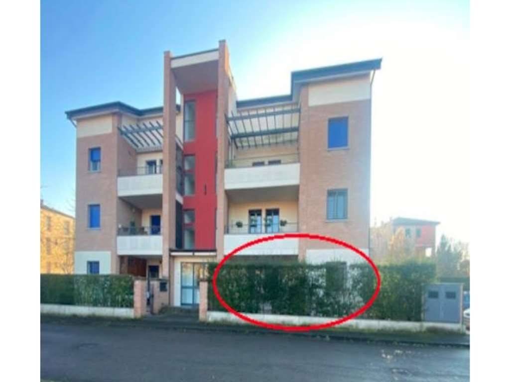 immagine annuncio 3 di 12
