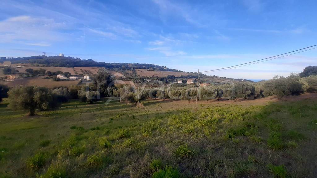 immagine annuncio 8 di 11