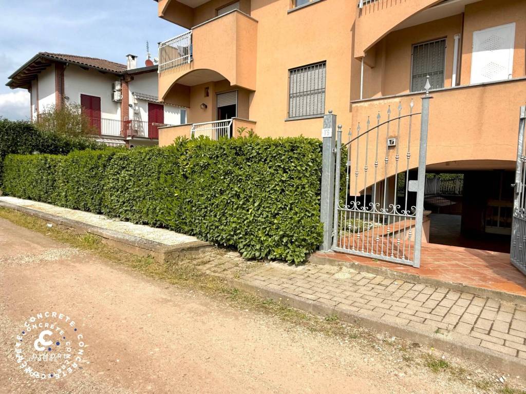 immagine annuncio 1 di 15