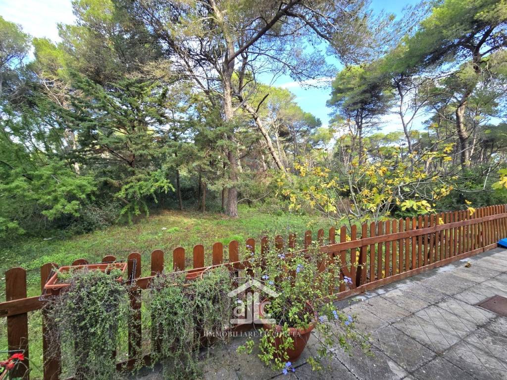 immagine annuncio 2 di 14