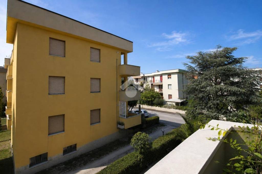immagine annuncio 13 di 14