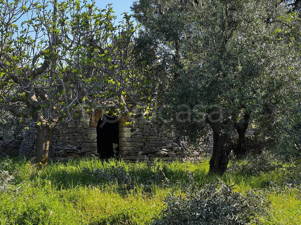immagine annuncio 4 di 8