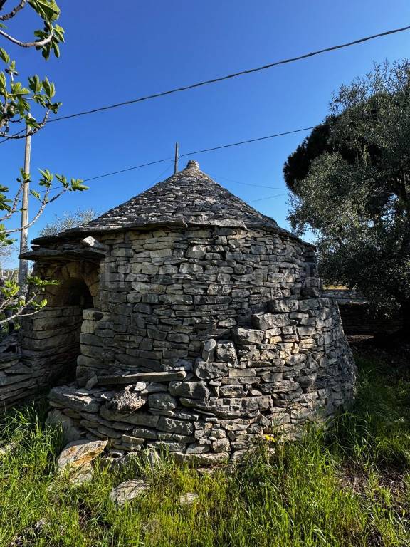 immagine annuncio 5 di 8