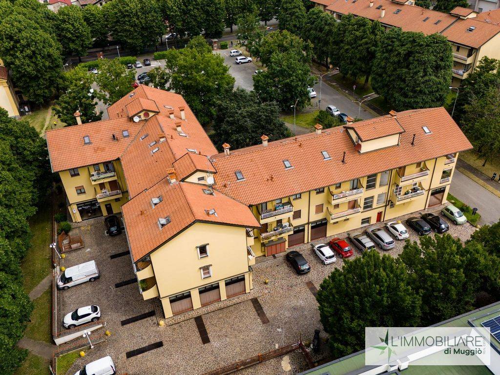immagine annuncio 5 di 15