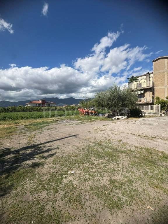 immagine annuncio 10 di 12