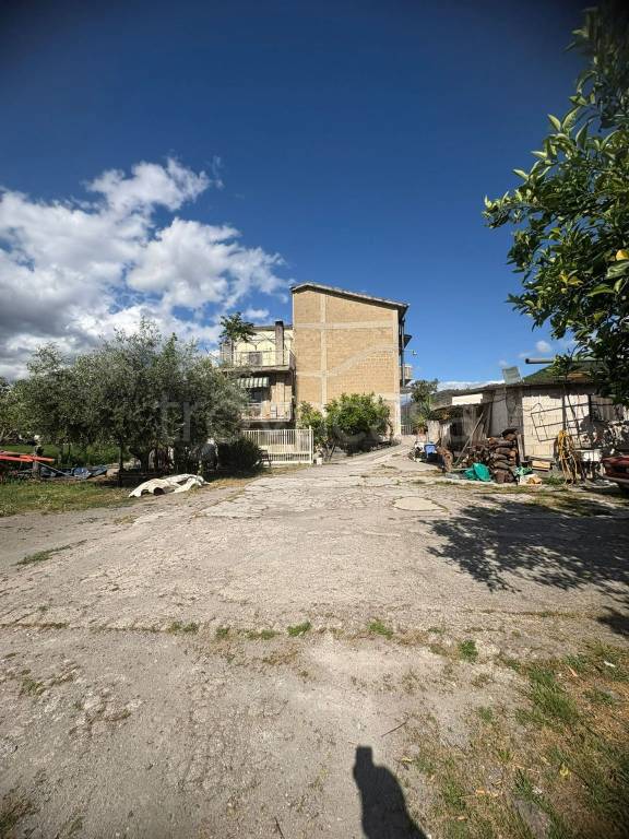 immagine annuncio 11 di 12