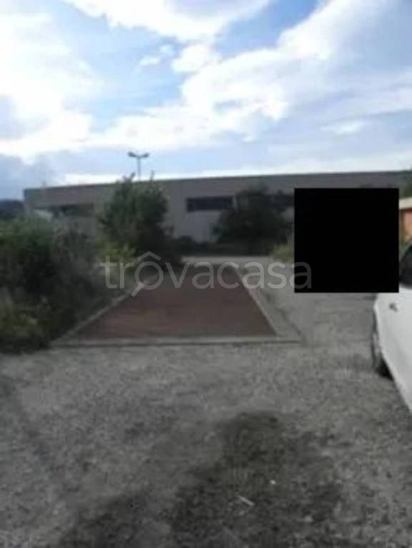 immagine annuncio 5 di 11