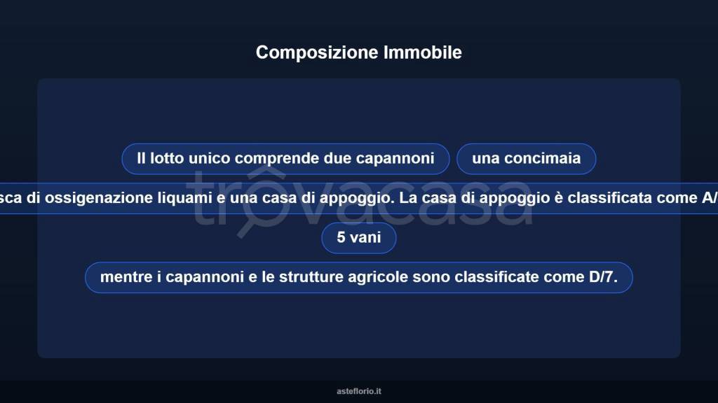 immagine annuncio 9 di 10