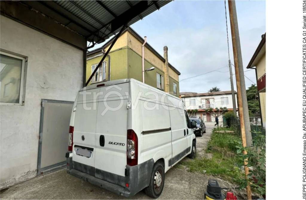immagine annuncio 10 di 15