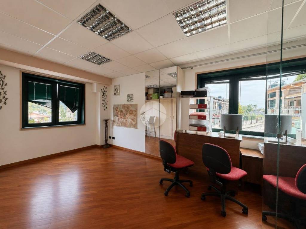 immagine annuncio 2 di 12