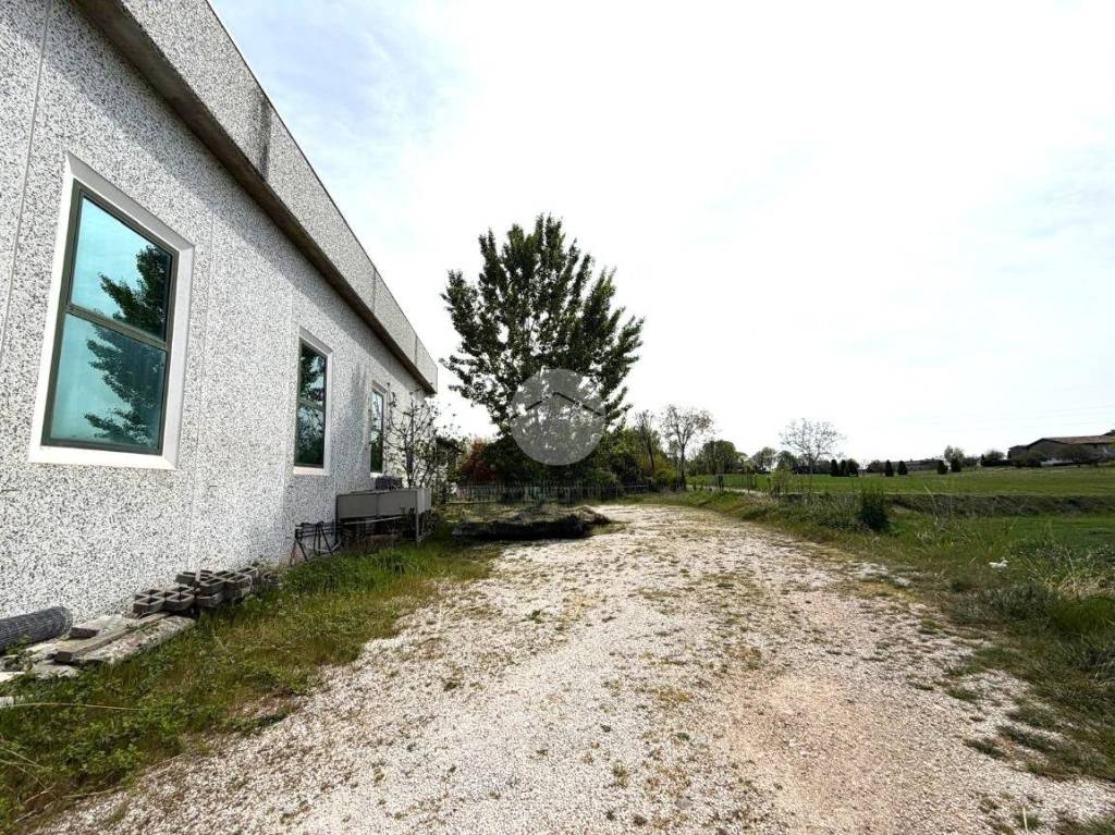 immagine annuncio 4 di 7