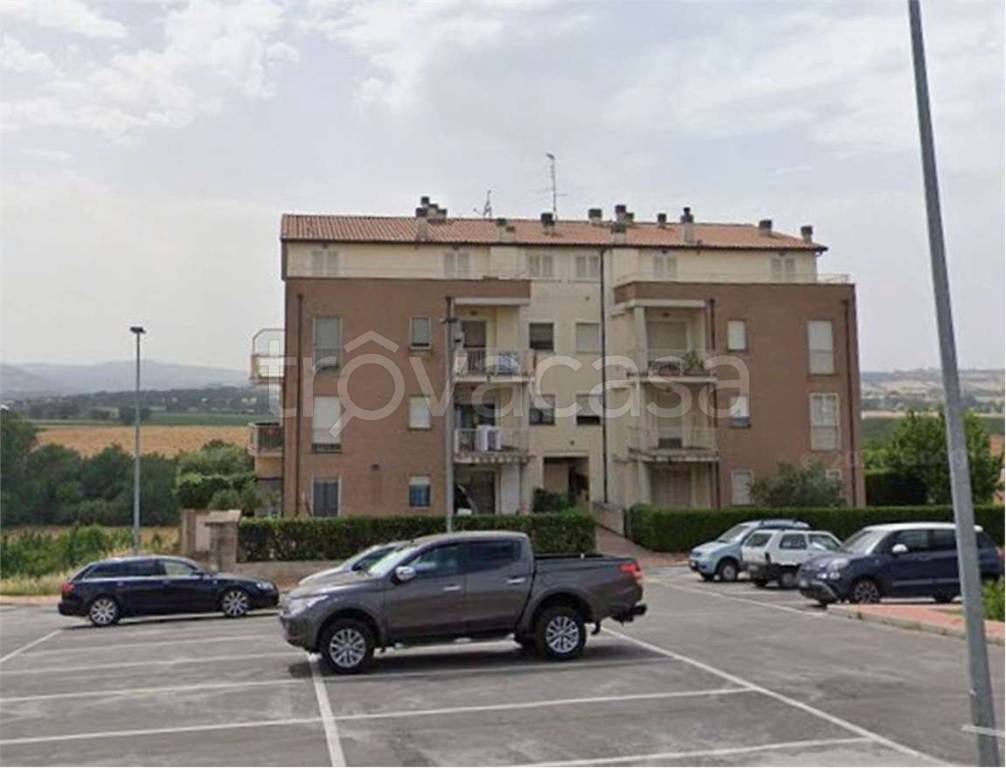 immagine annuncio 9 di 13