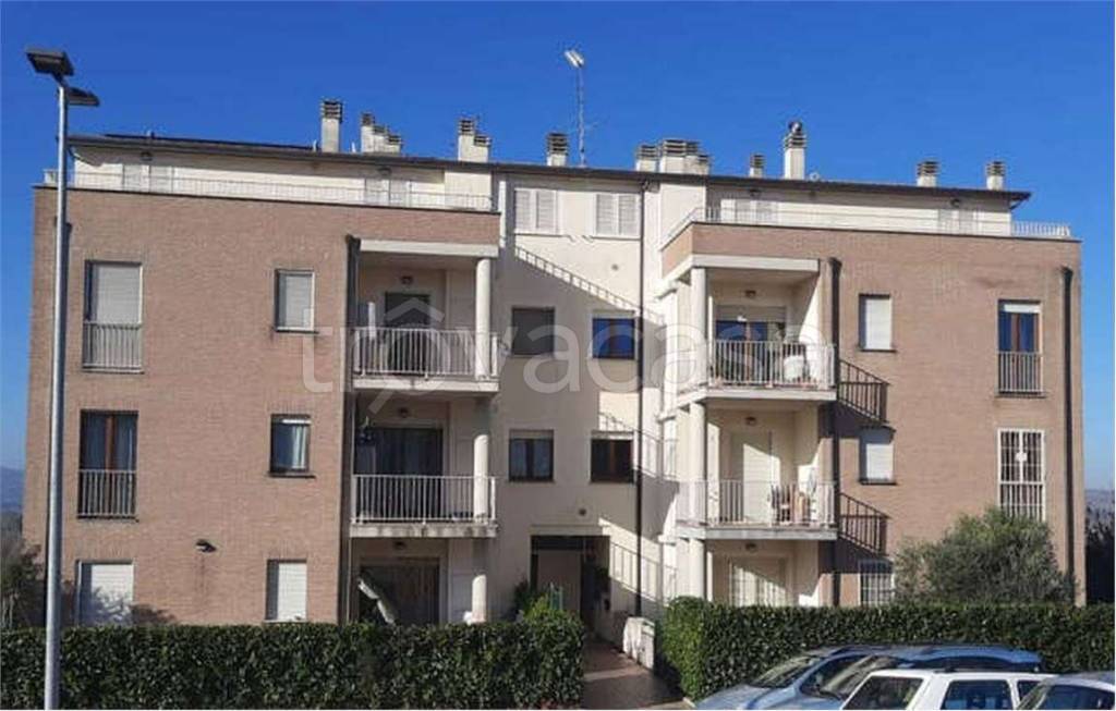 immagine annuncio 6 di 13