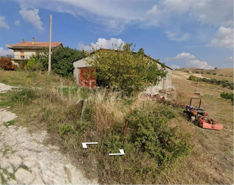 immagine annuncio 1 di 14