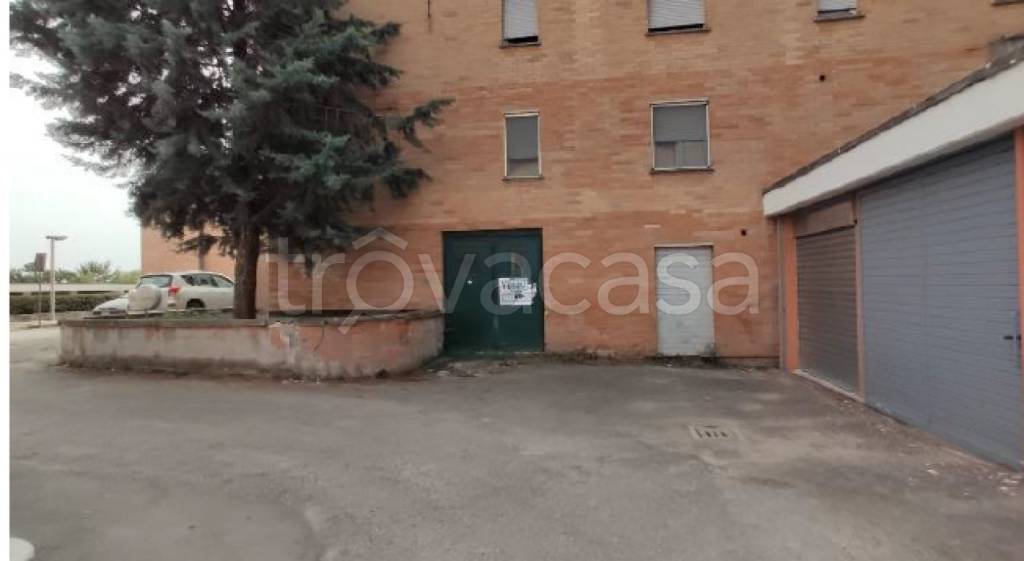 immagine annuncio 2 di 8