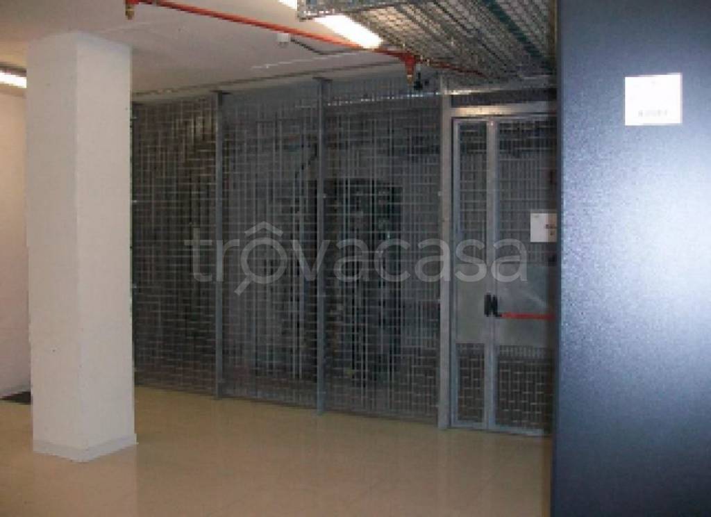 immagine annuncio 6 di 11
