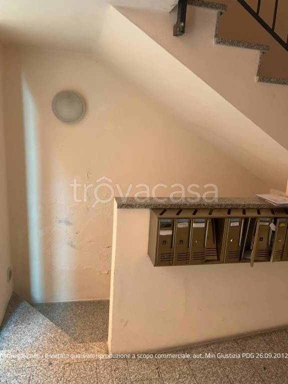 immagine annuncio 6 di 12