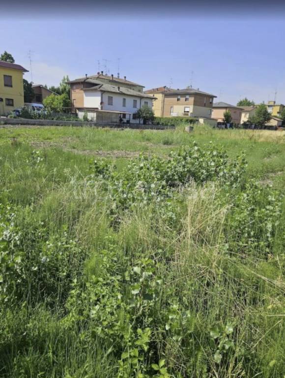 immagine annuncio 1 di 8